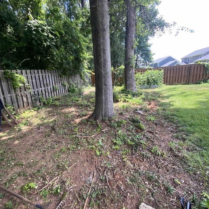 22647890 dlargesquare