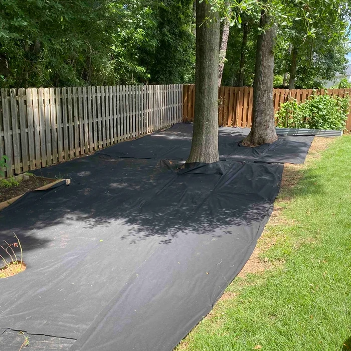 22647891 dlargesquare